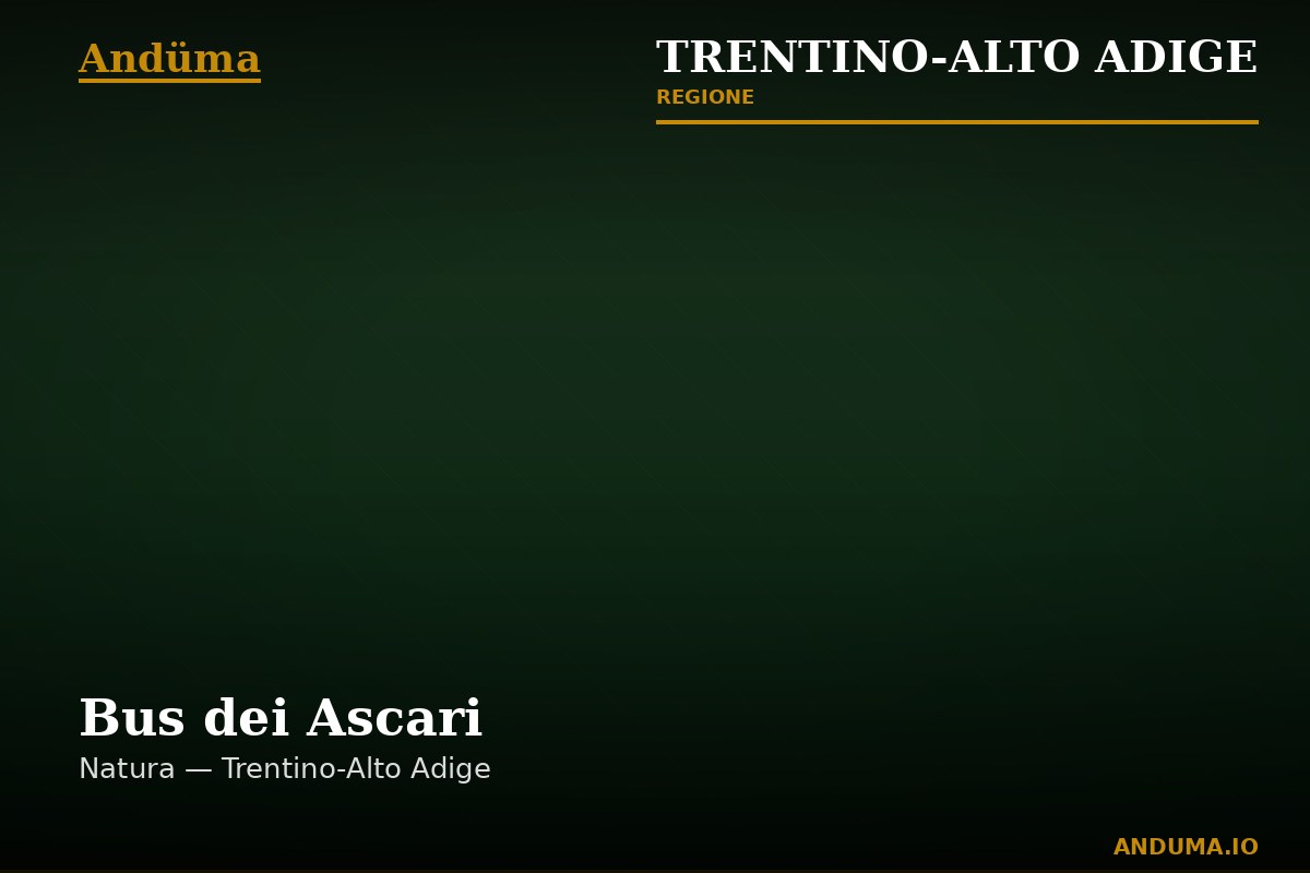 Bus dei Ascari — Punto di interesse a Trento, Trento
