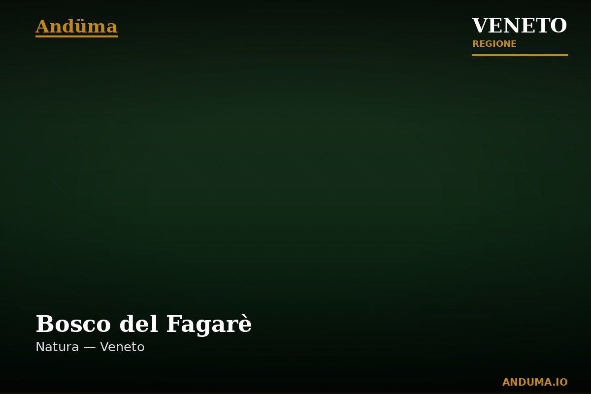 Bosco del Fagarè — Punto di interesse , Venezia