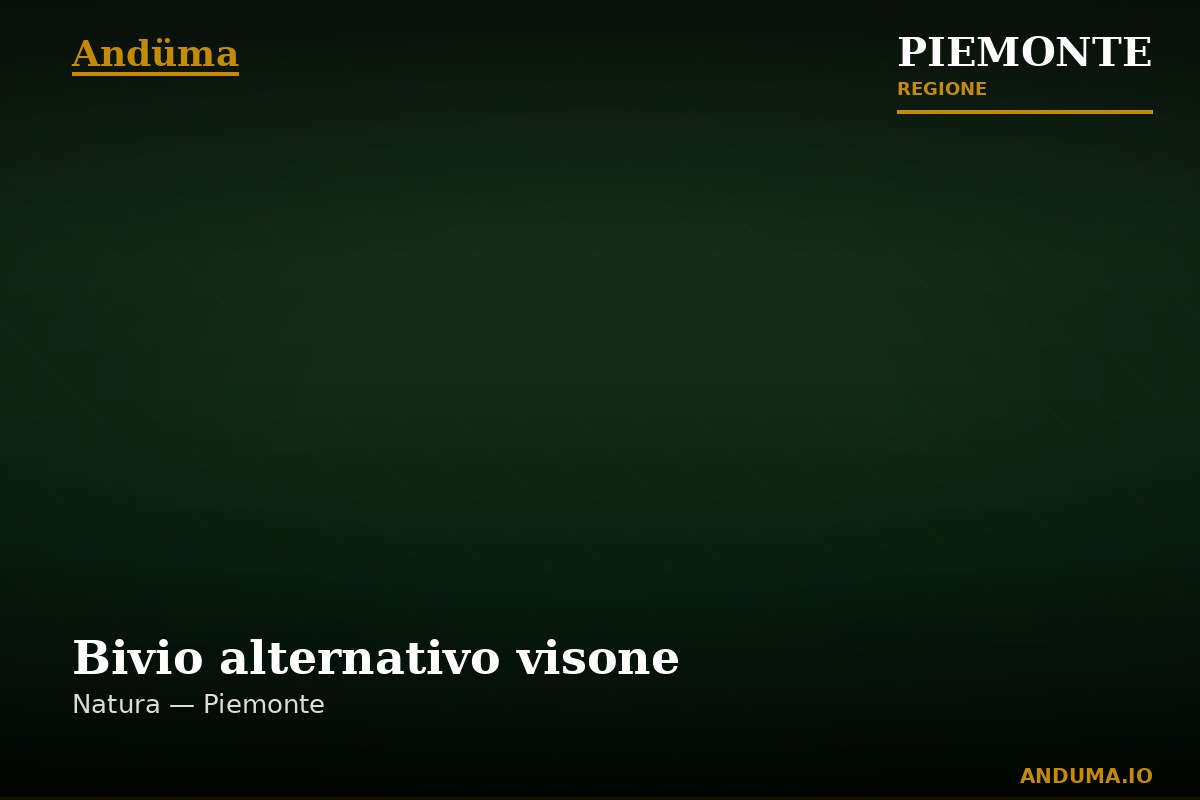 Bivio alternativo visone — Punto di interesse a Acqui Terme, Alessandria