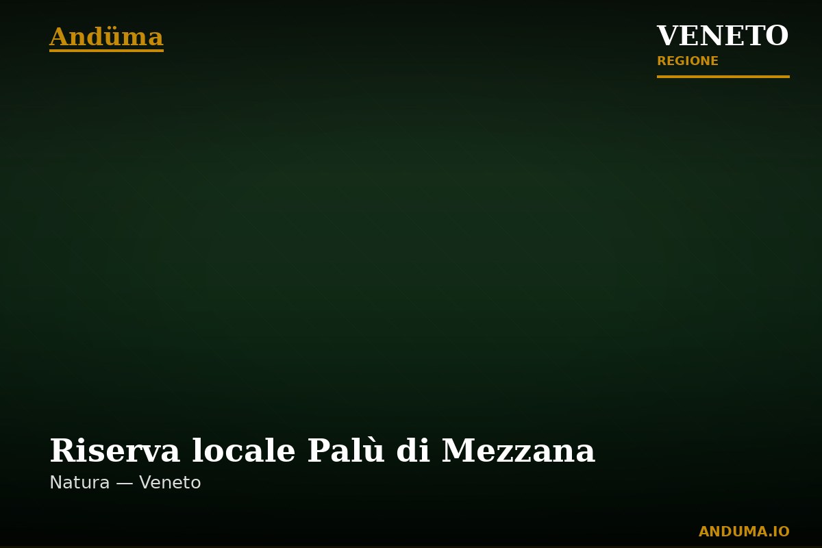 Riserva locale Palù di Mezzana — Punto di interesse , Venezia