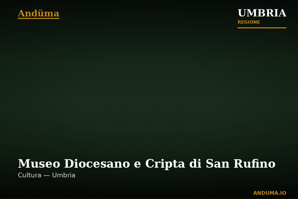 Museo Diocesano e Cripta di San Rufino — Punto di interesse a Assisi, Perugia