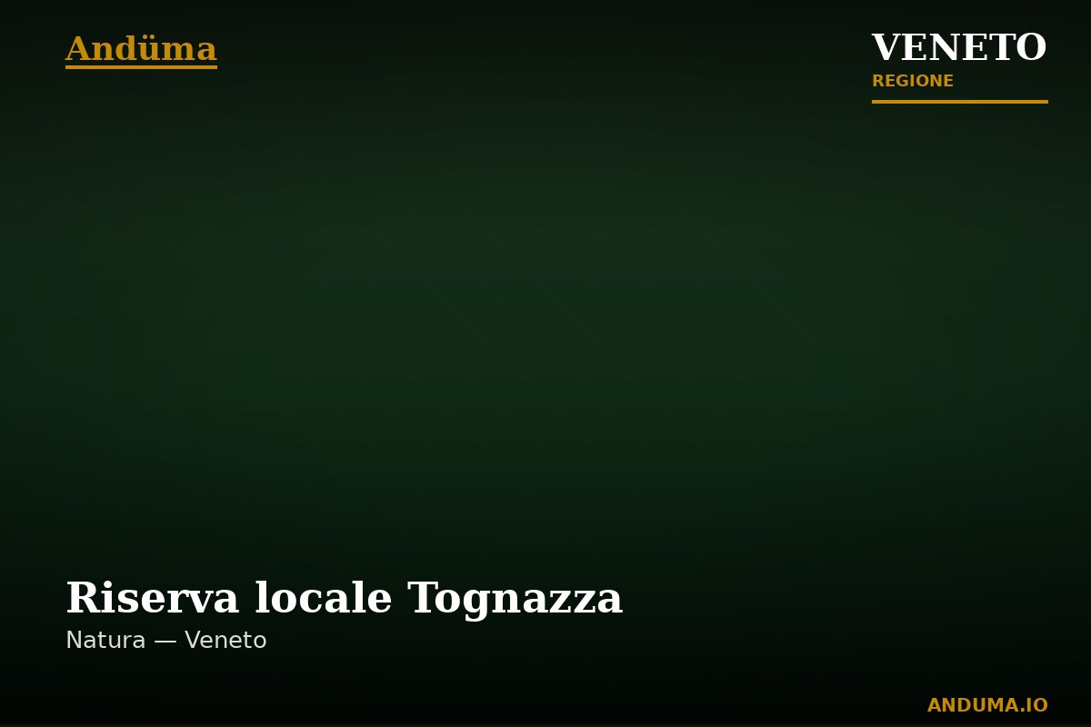 Riserva locale Tognazza — Punto di interesse , Venezia