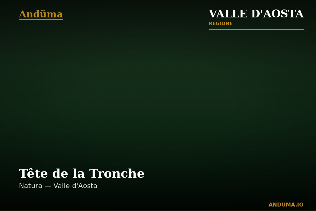 Tête de la Tronche — Punto di interesse a Courmayeur, Aosta