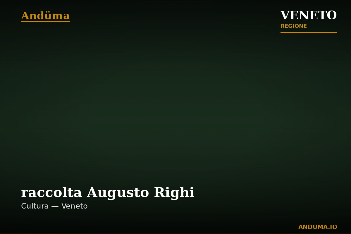 raccolta Augusto Righi — Punto di interesse , Venezia