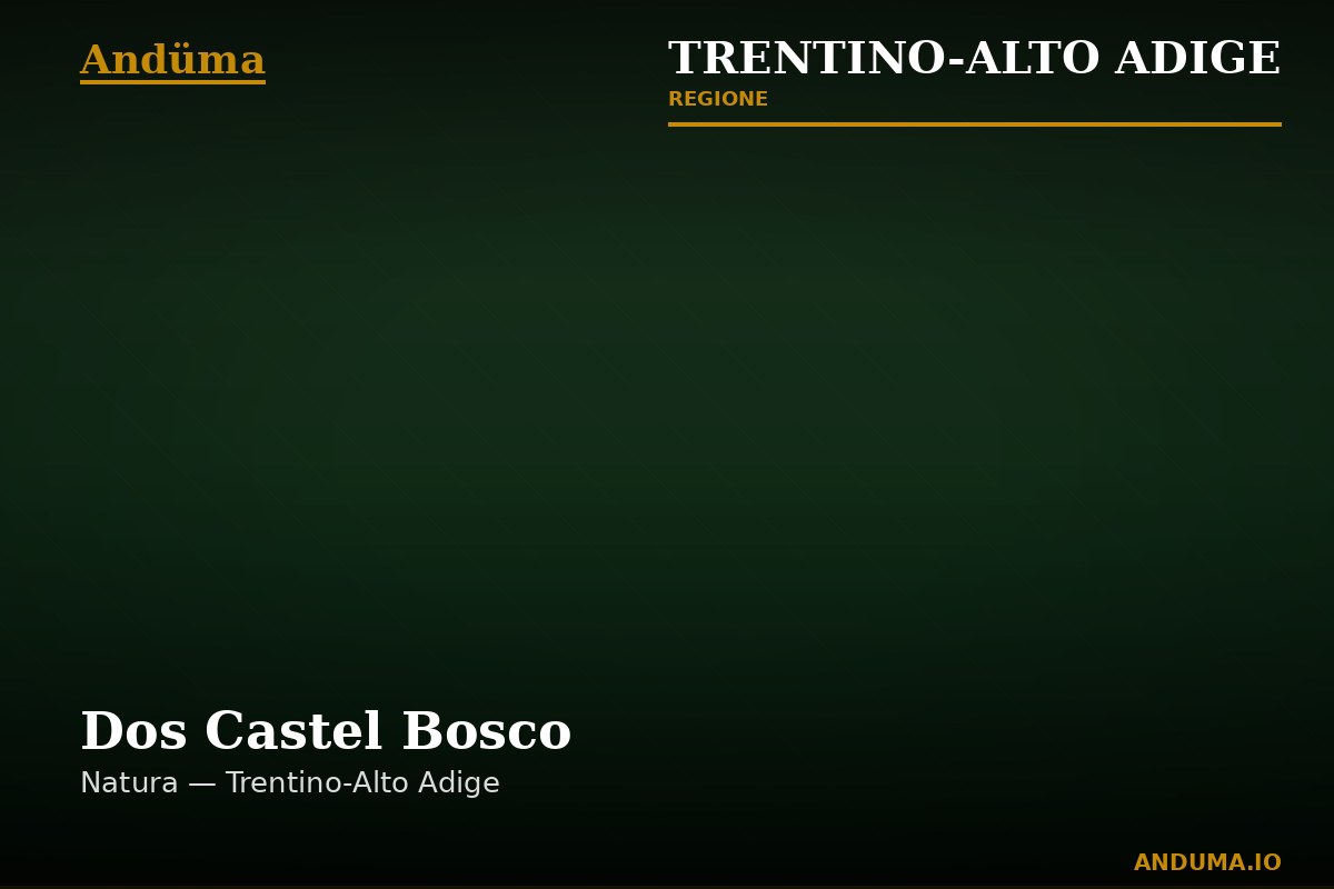 Dos Castel Bosco — Punto di interesse a Trento, Trento