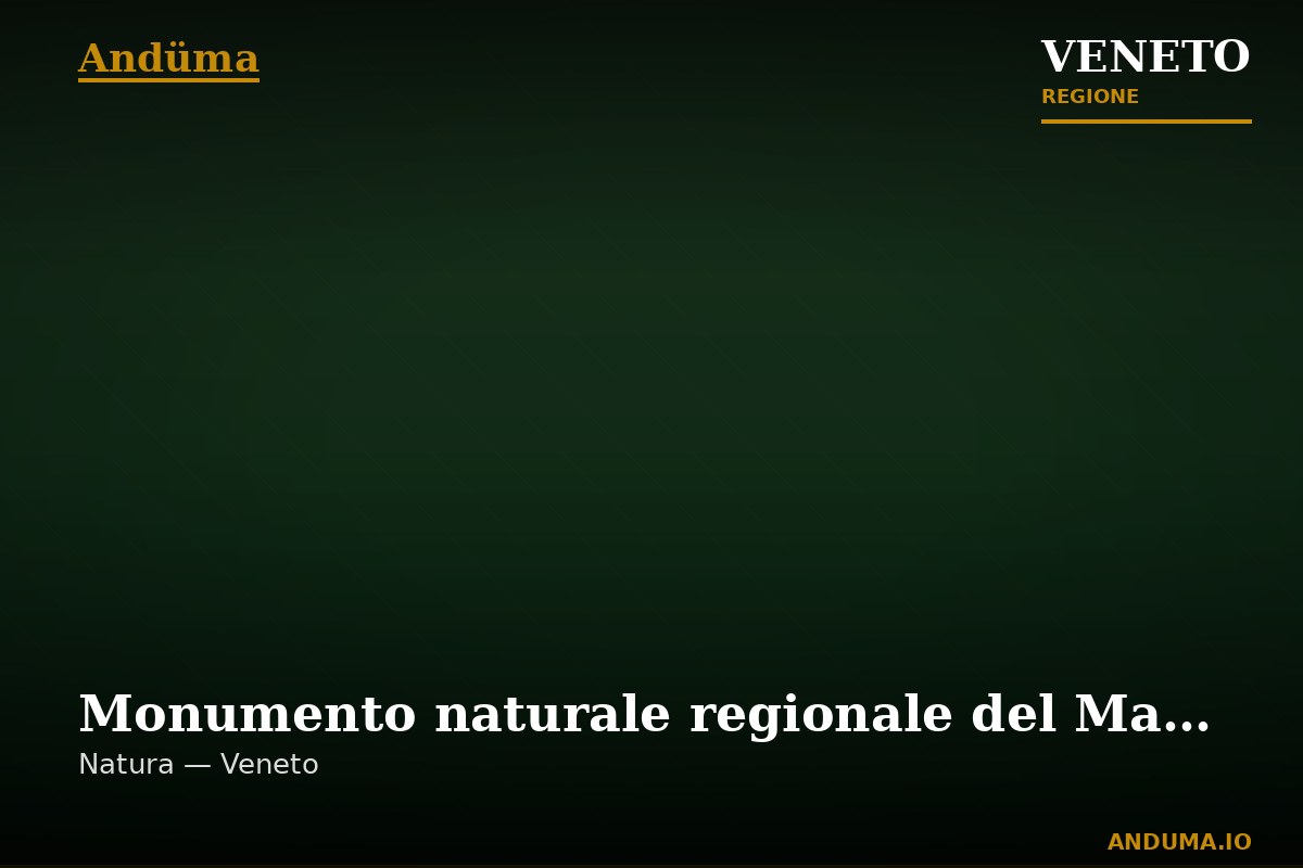 Monumento naturale regionale del Masso di arenaria rossa del Permico — Punto di interesse , Venezia