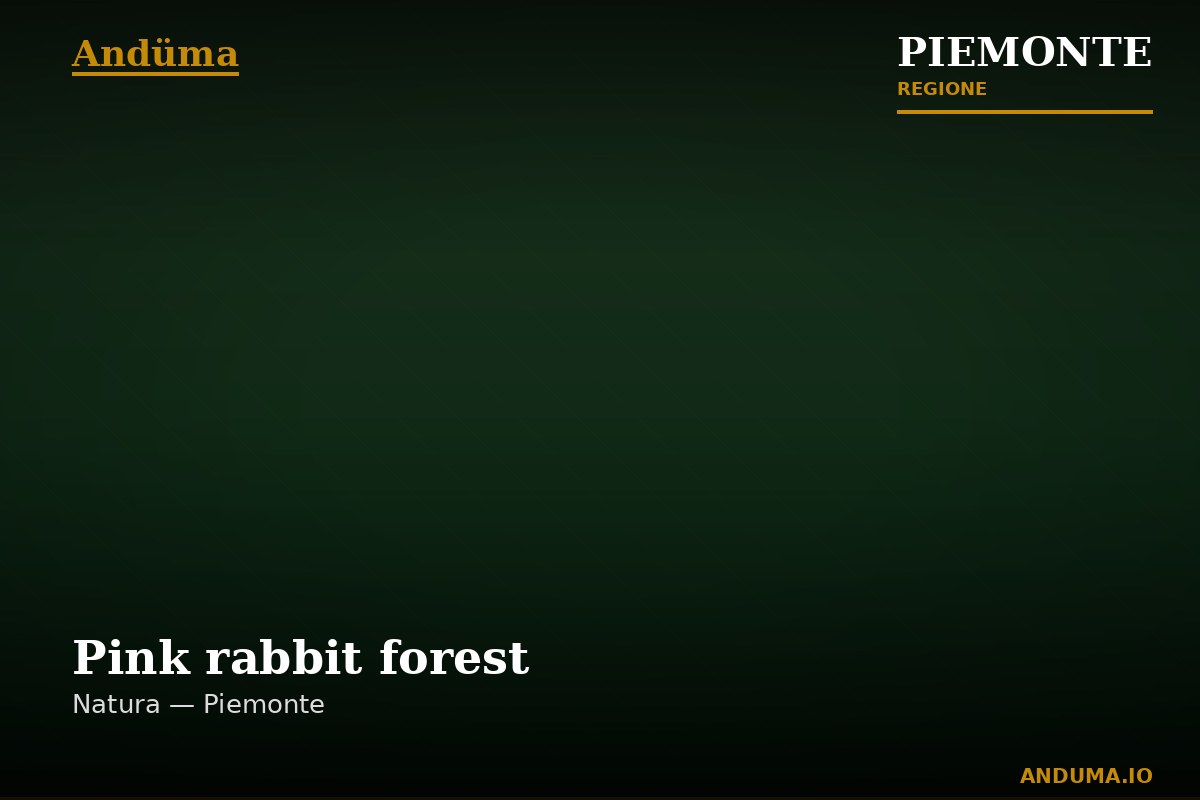 Pink rabbit forest — Punto di interesse a Frabosa Soprana, Cuneo