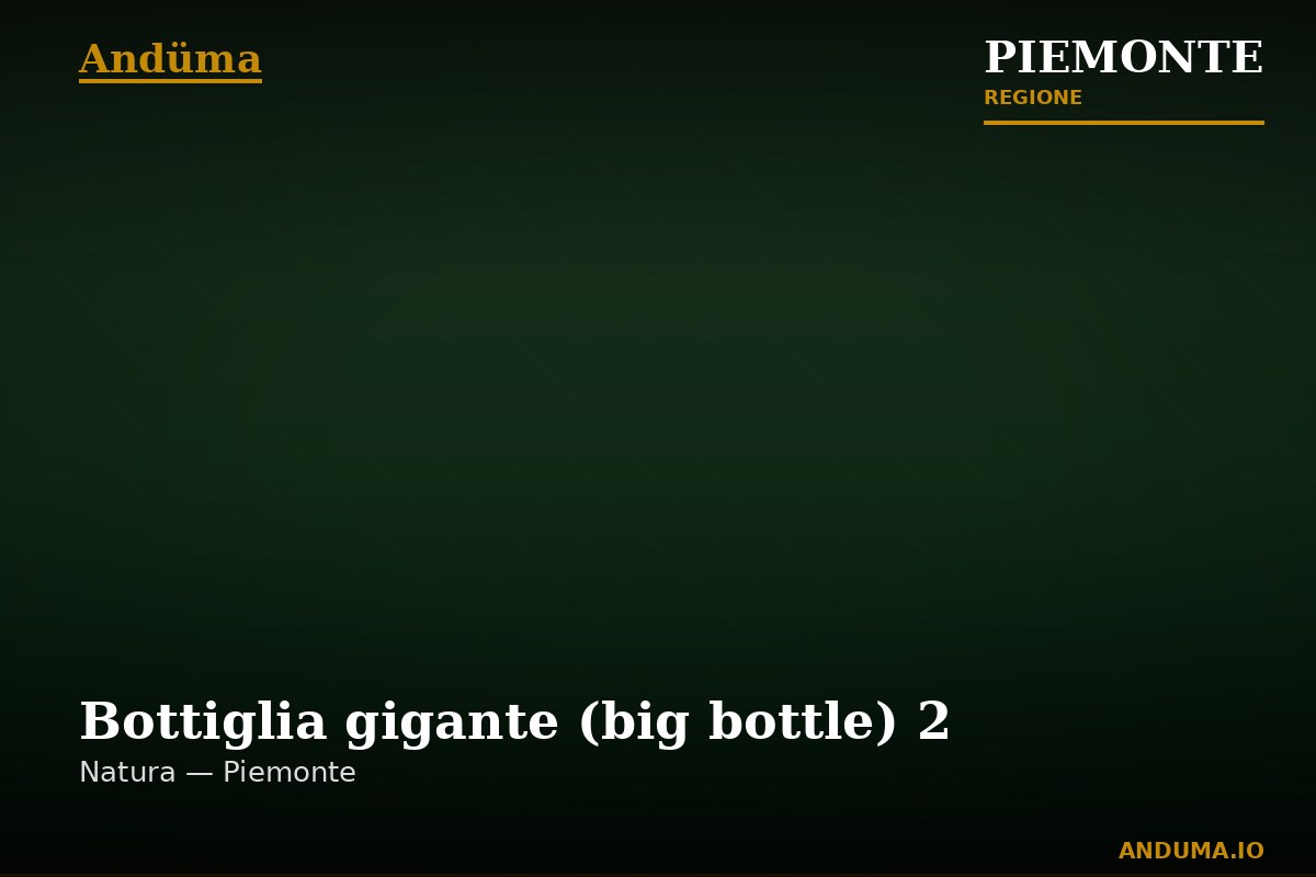 Bottiglia gigante (big bottle) 2 — Punto di interesse a Rocchetta Tanaro, Asti