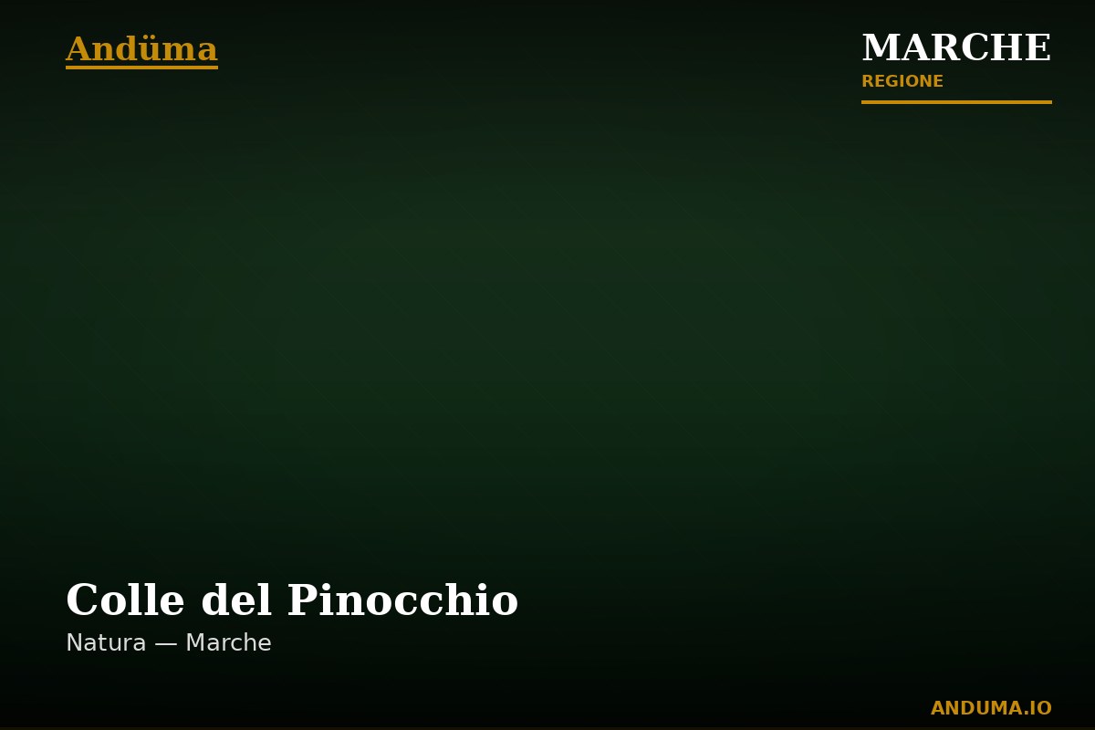 Colle del Pinocchio — Punto di interesse a Ancona, Ancona