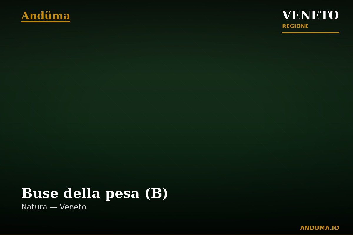 Buse della pesa (B) — Punto di interesse , Venezia