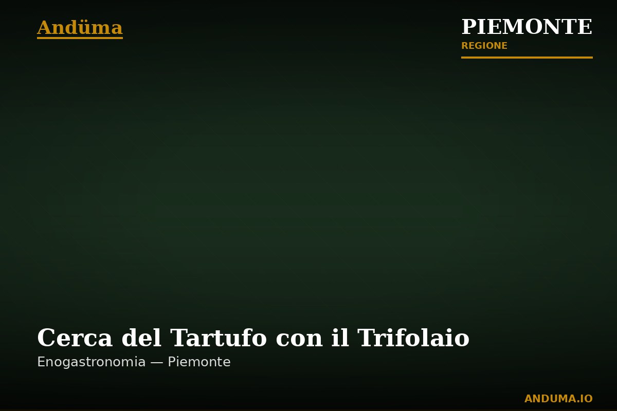 Cerca del Tartufo con il Trifolaio — Esperienza a Alba, Cuneo
