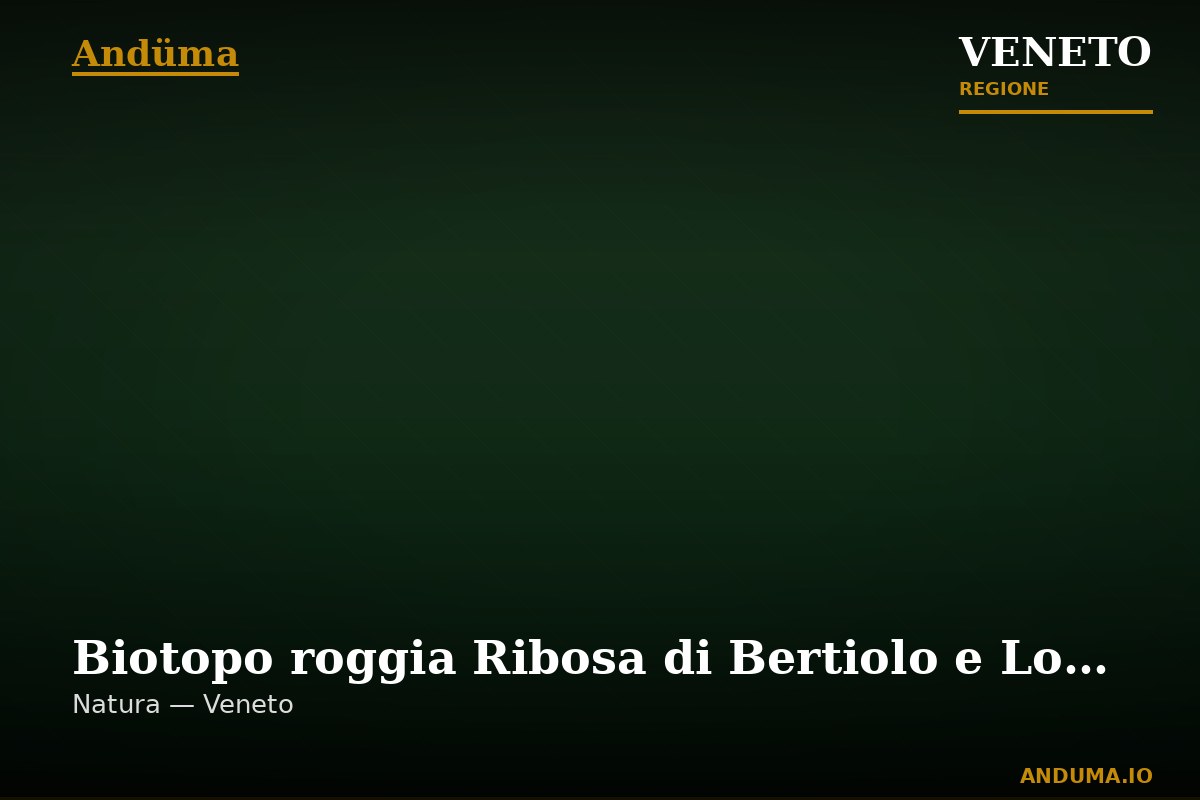 Biotopo roggia Ribosa di Bertiolo e Lonca — Punto di interesse , Venezia