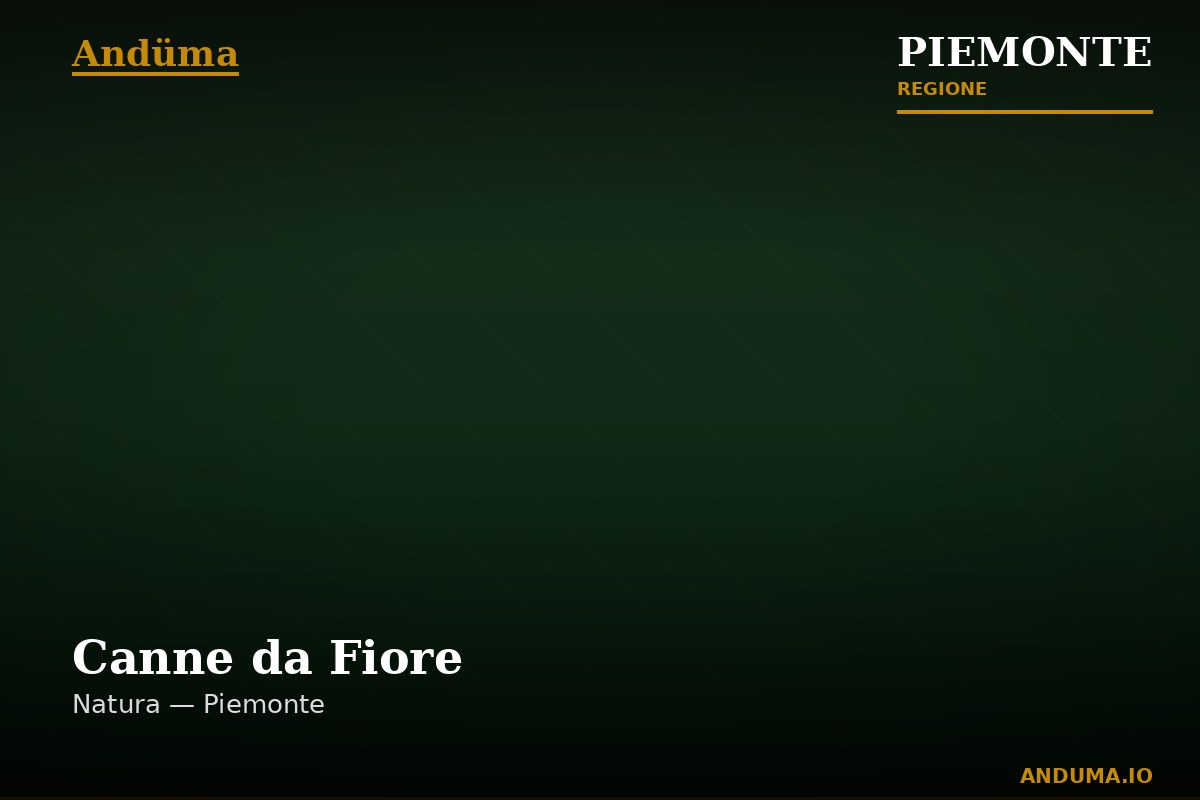 Canne da Fiore
