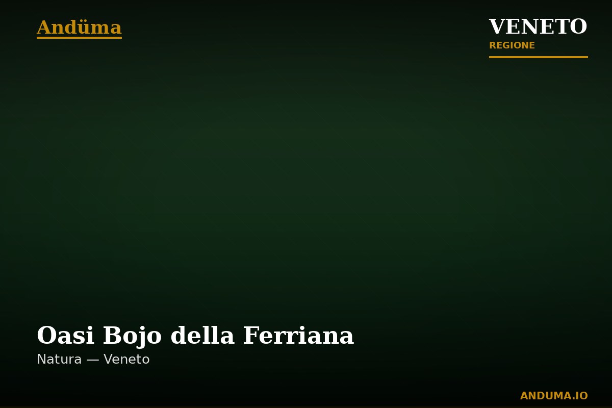 Oasi Bojo della Ferriana — Punto di interesse , Venezia