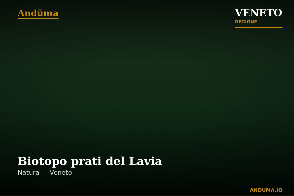 Biotopo prati del Lavia — Punto di interesse , Venezia