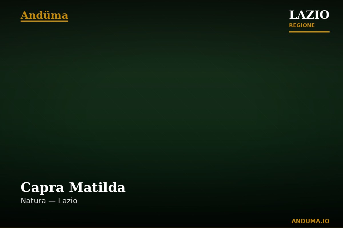 Capra Matilda — Punto di interesse , Roma
