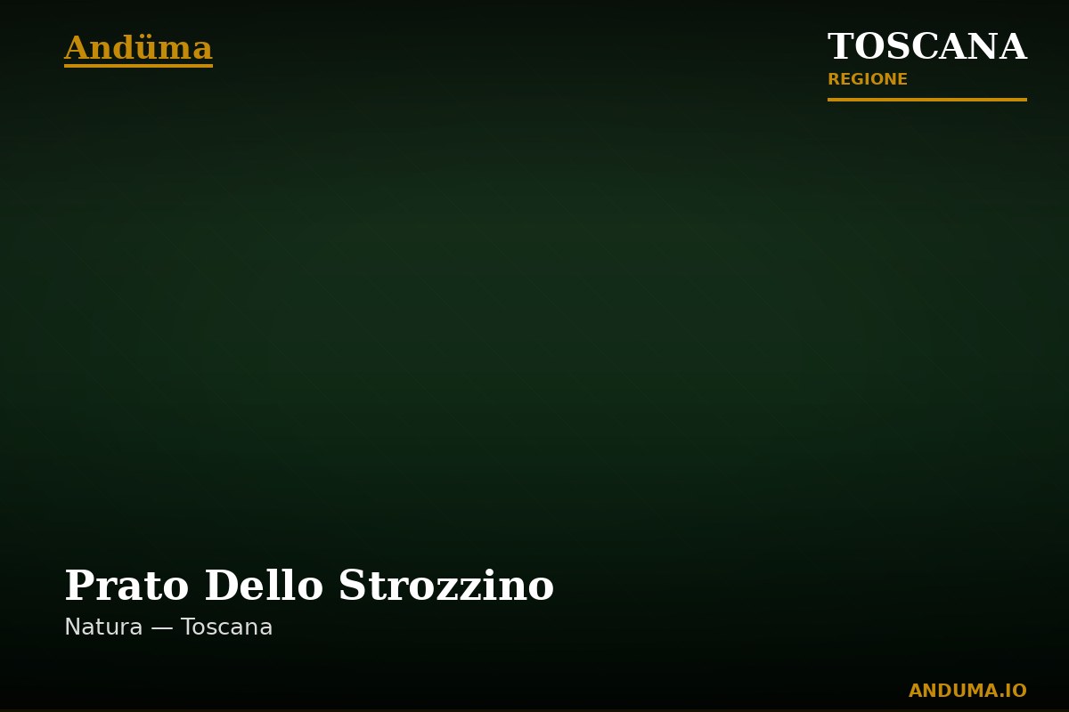 Prato Dello Strozzino — Punto di interesse a Firenze, Firenze