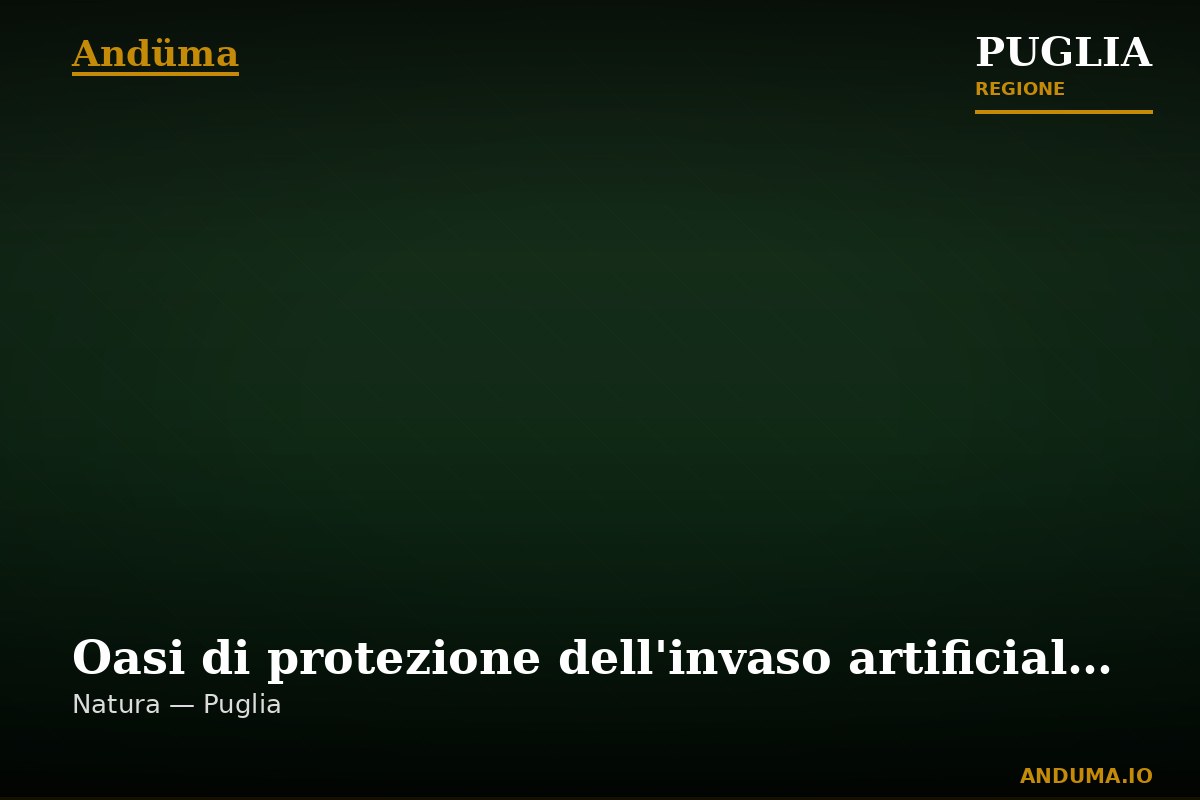 Oasi di protezione dell'invaso artificiale e del parco del Cillarese — Punto di interesse , Bari