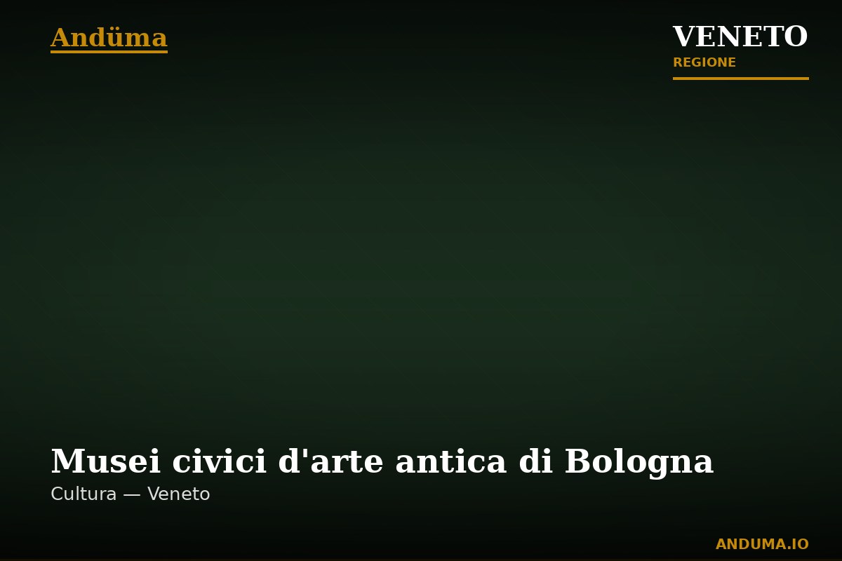 Musei civici d'arte antica di Bologna — Punto di interesse , Venezia