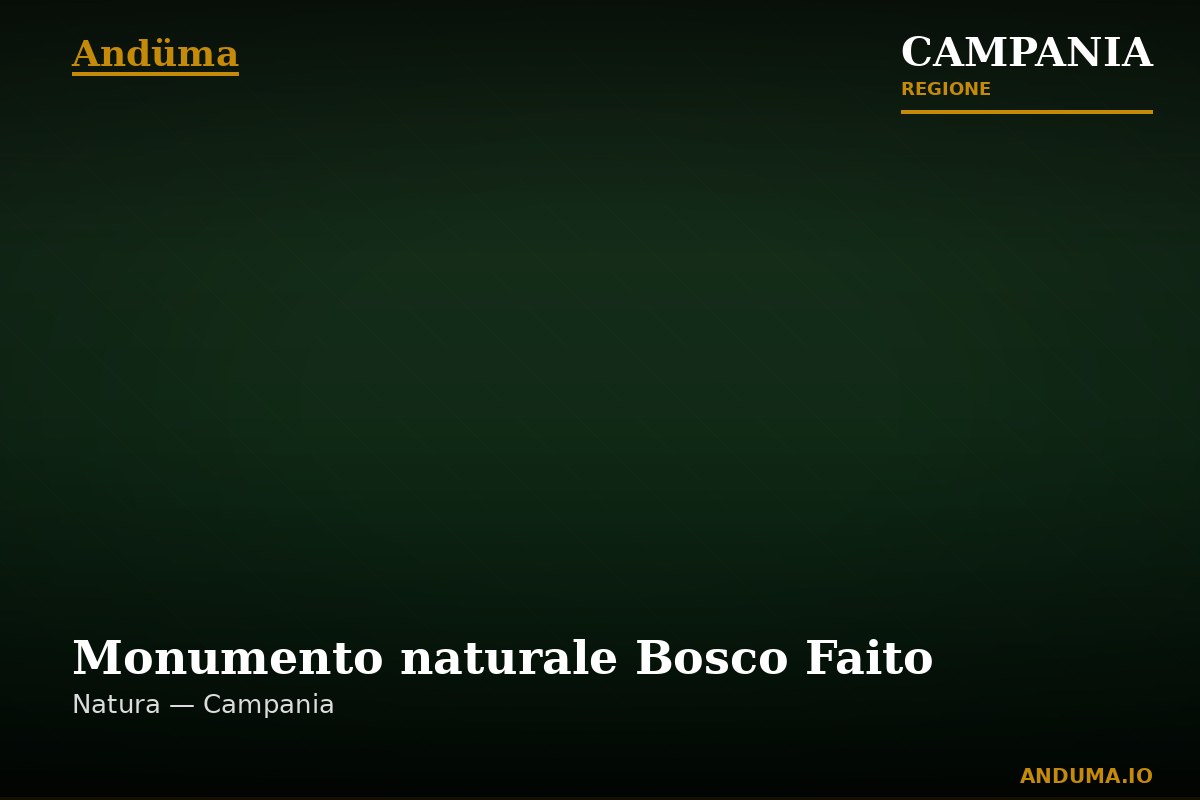 Monumento naturale Bosco Faito — Punto di interesse , Napoli