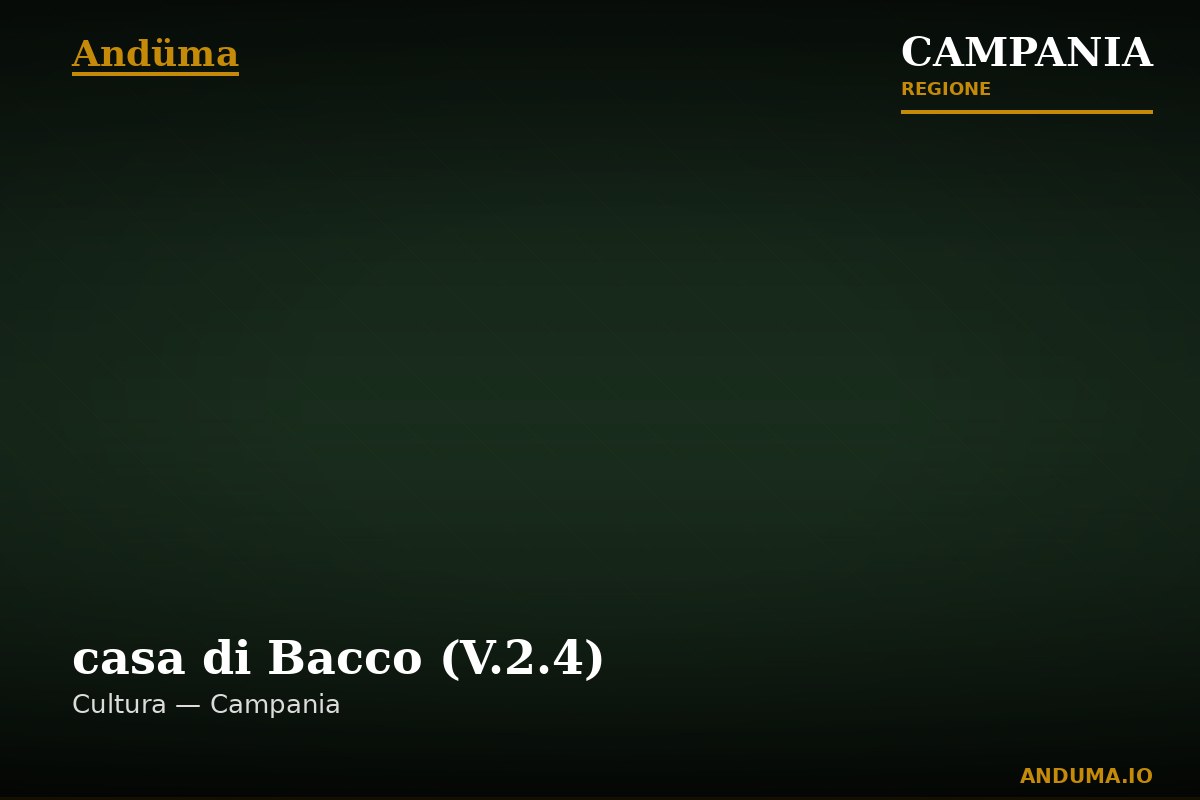 casa di Bacco (V.2.4) — Punto di interesse , Napoli