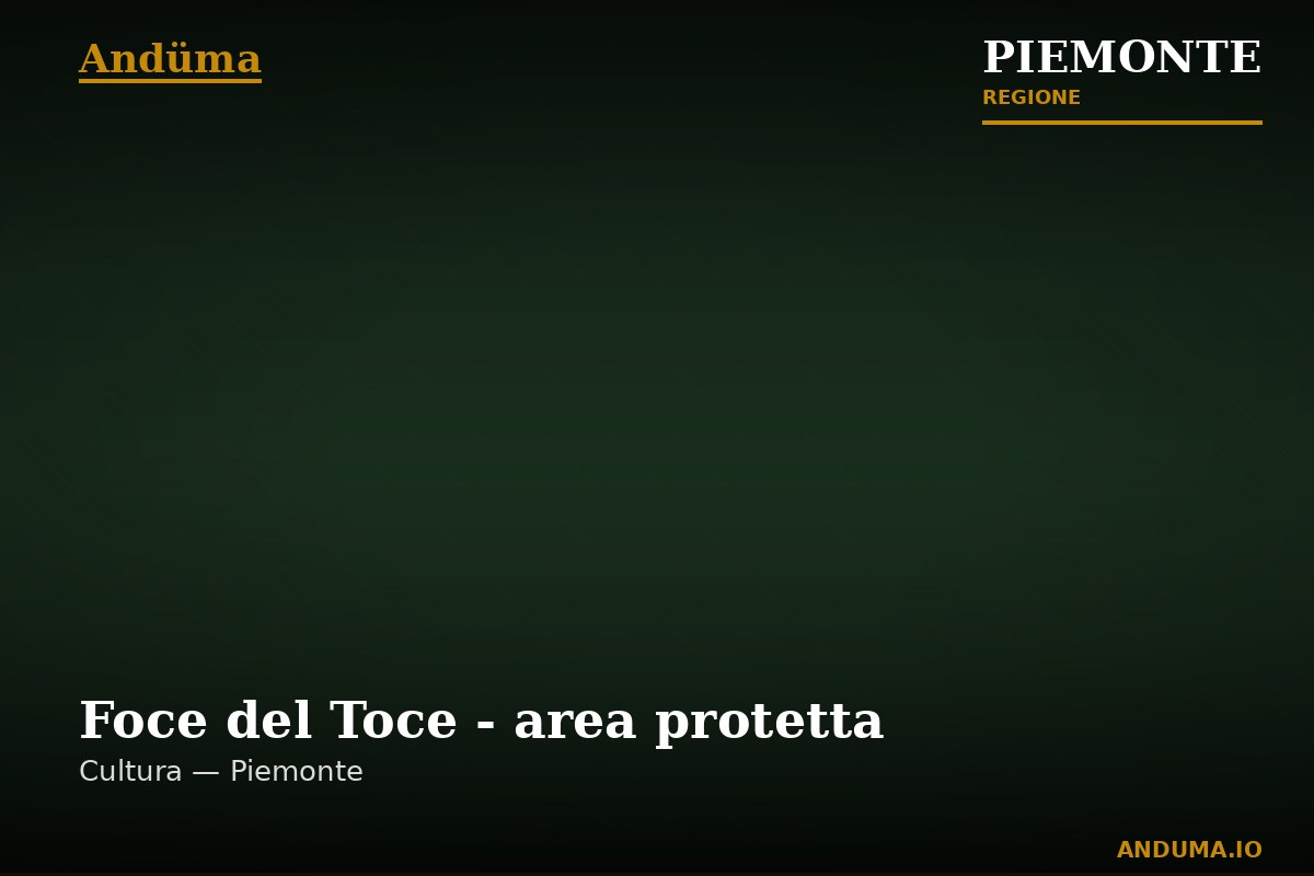 Foce del Toce - area protetta — Punto di interesse a Baveno, VCO