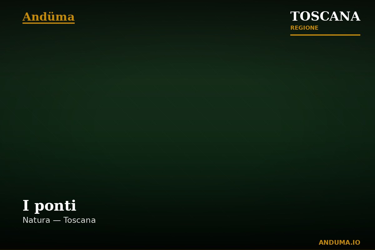 I ponti — Punto di interesse a Firenze, Firenze