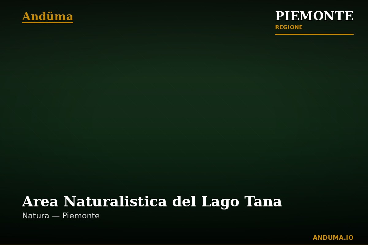 Area Naturalistica del Lago Tana — Punto di interesse a Domodossola, VCO
