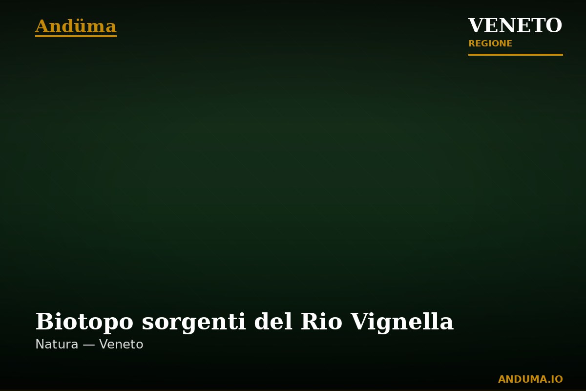 Biotopo sorgenti del Rio Vignella — Punto di interesse , Venezia