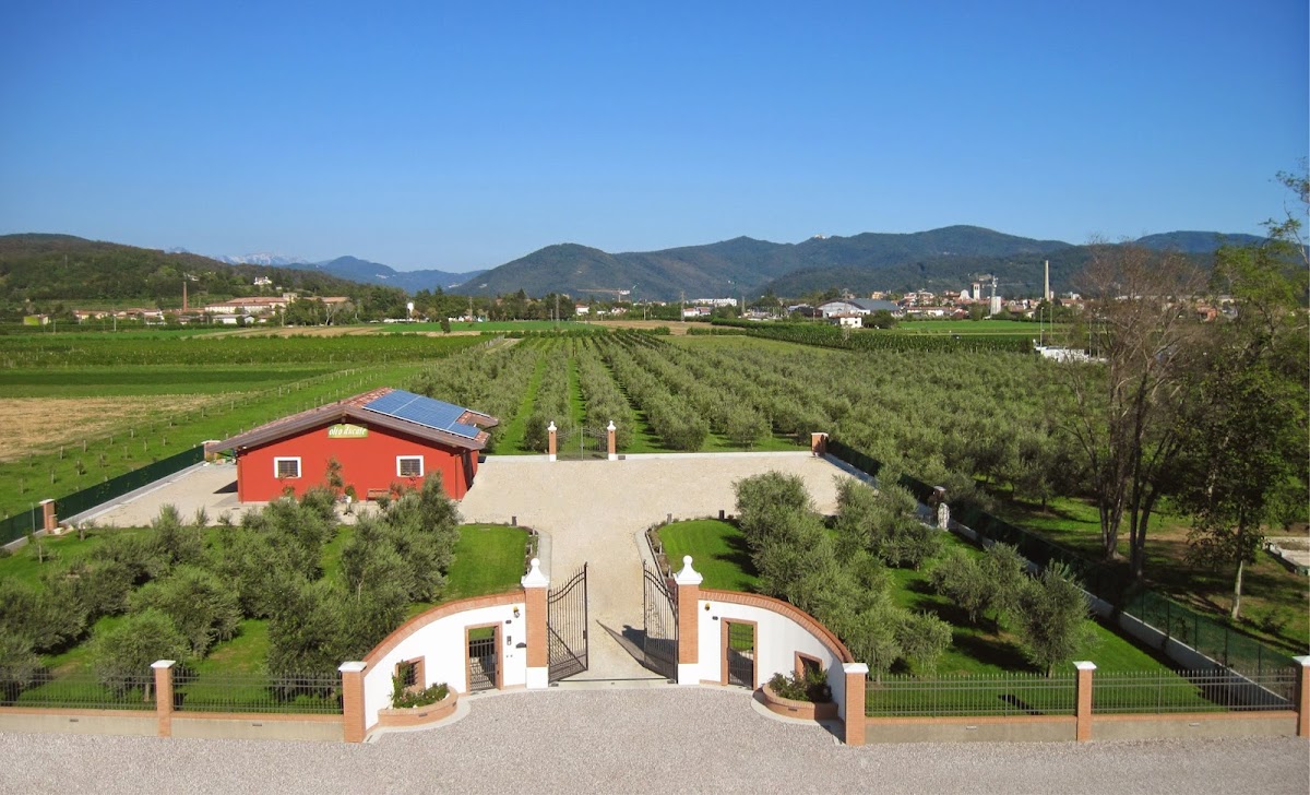Azienda agricola e Agriturismo Olio Ducale — Alloggio a Cividale del Friuli, Udine
