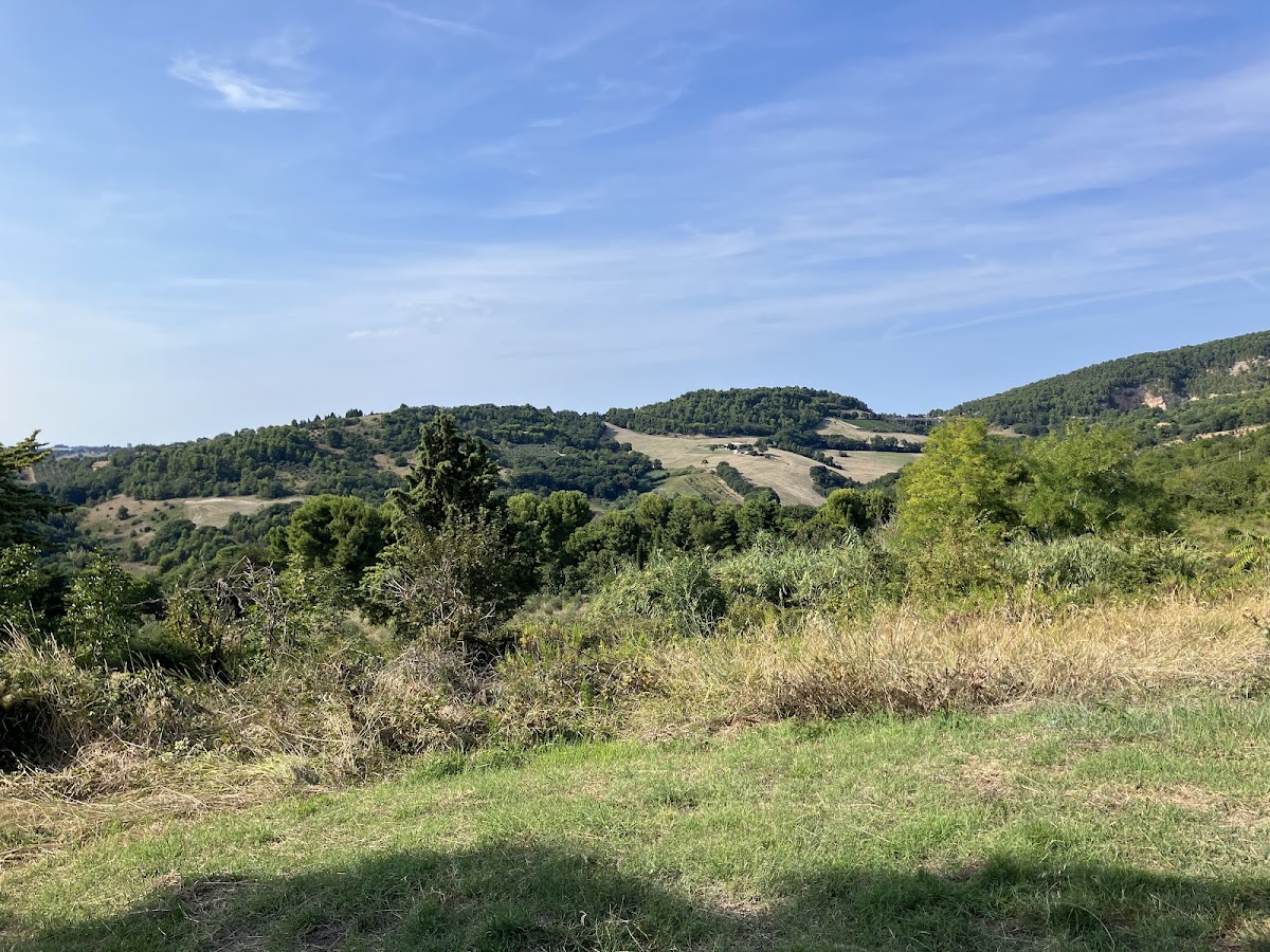 Fattoria didattica L'asino che ride — Alloggio a Ancona, Ancona