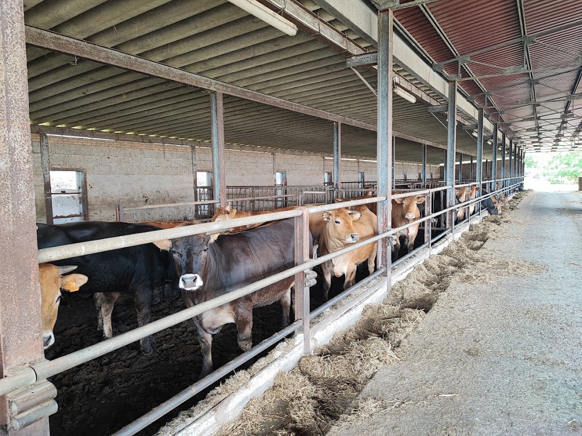 Fattoria di Coltano — Alloggio a Pisa, Pisa