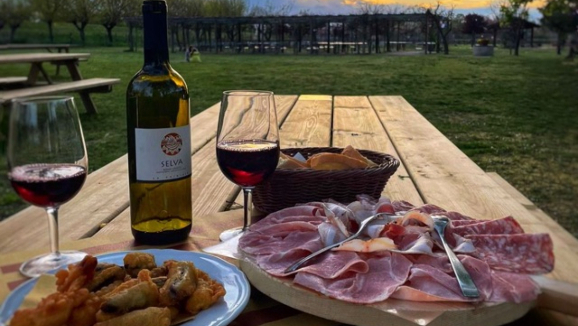 “La Primizia” Azienda Agricola e Agriturismo — Alloggio a Padova, Padova
