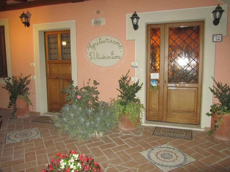 l'Ulivo in Fiore — Alloggio a Spoleto, Perugia