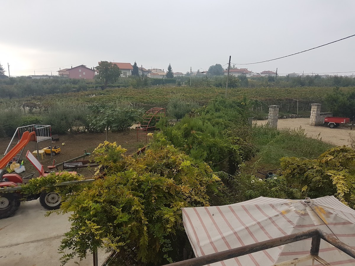 Fattoria Zitumasse Apicoltura — Alloggio a Lanciano, Chieti