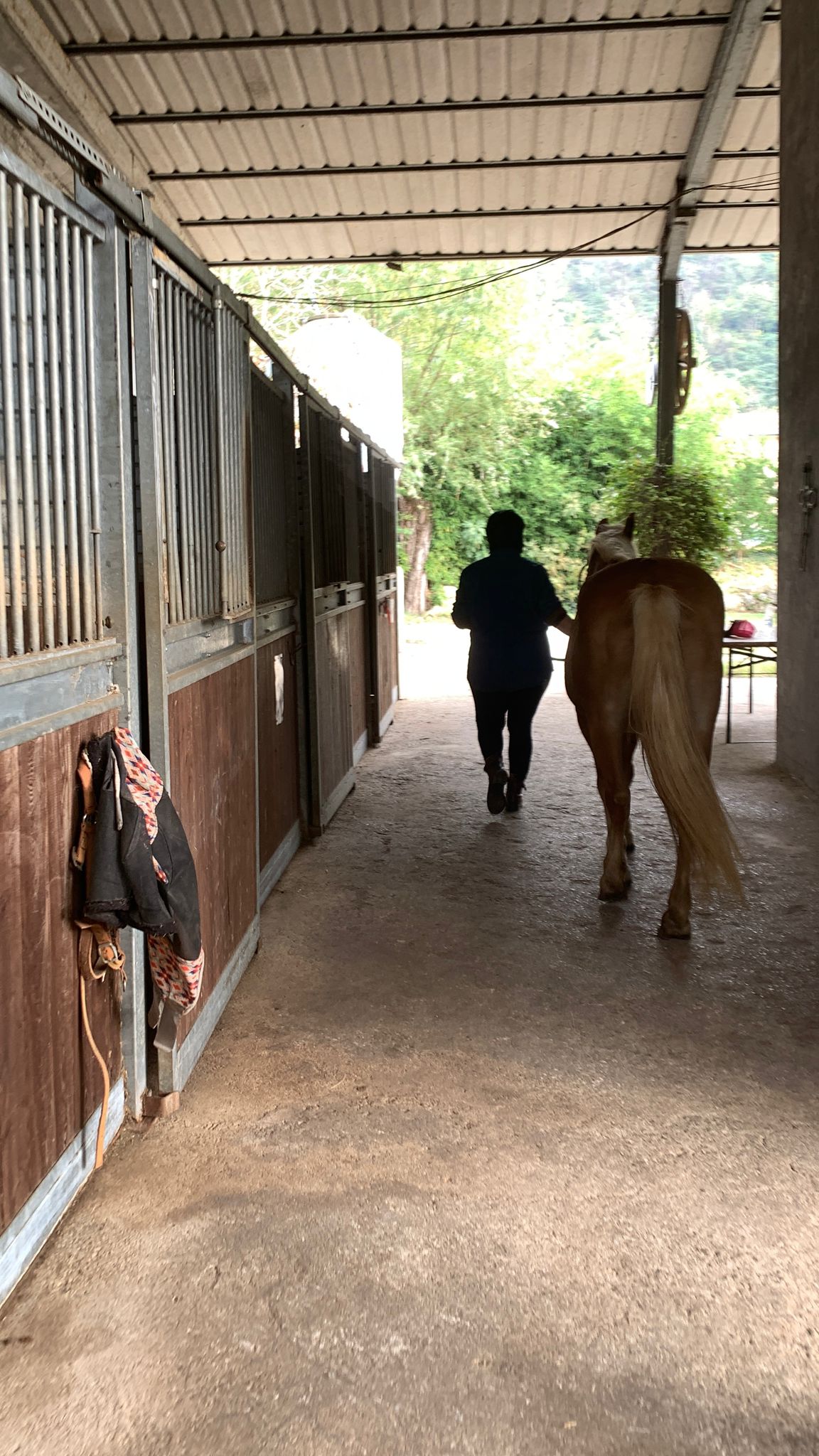 Azienda Agricola Ranch dei Mulini — Alloggio a Vicenza, Vicenza