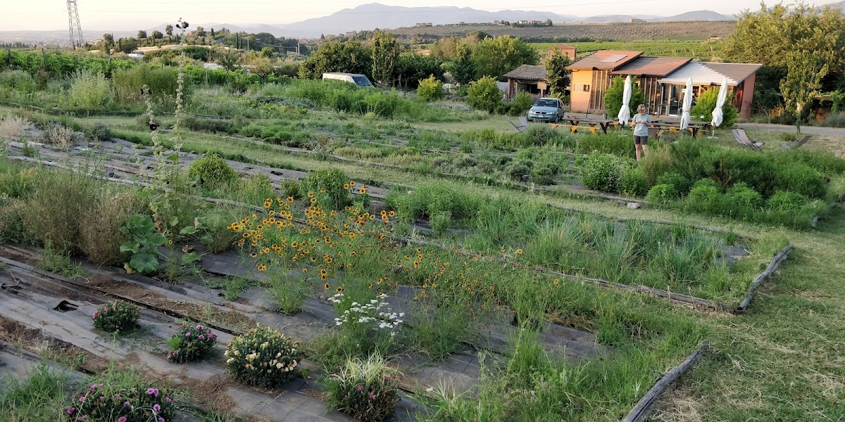 Country House Erba Regina — Alloggio a Frascati, Roma