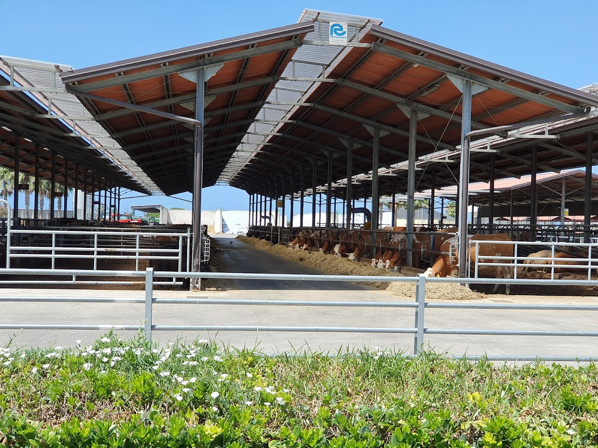 Pizzeria e Caseificio Tempio - Azienda Agricola — Alloggio a Paestum, Salerno