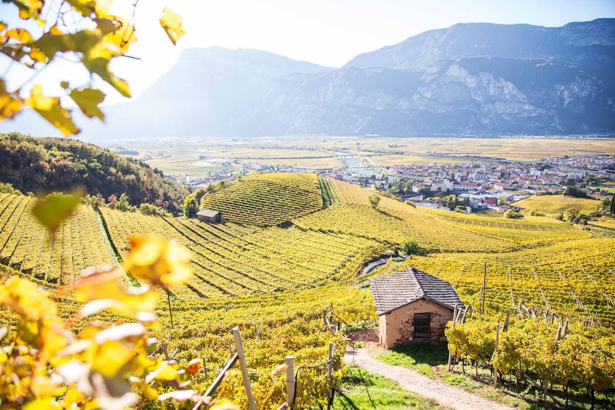 B&B Anna — Alloggio a Bolzano, Bolzano