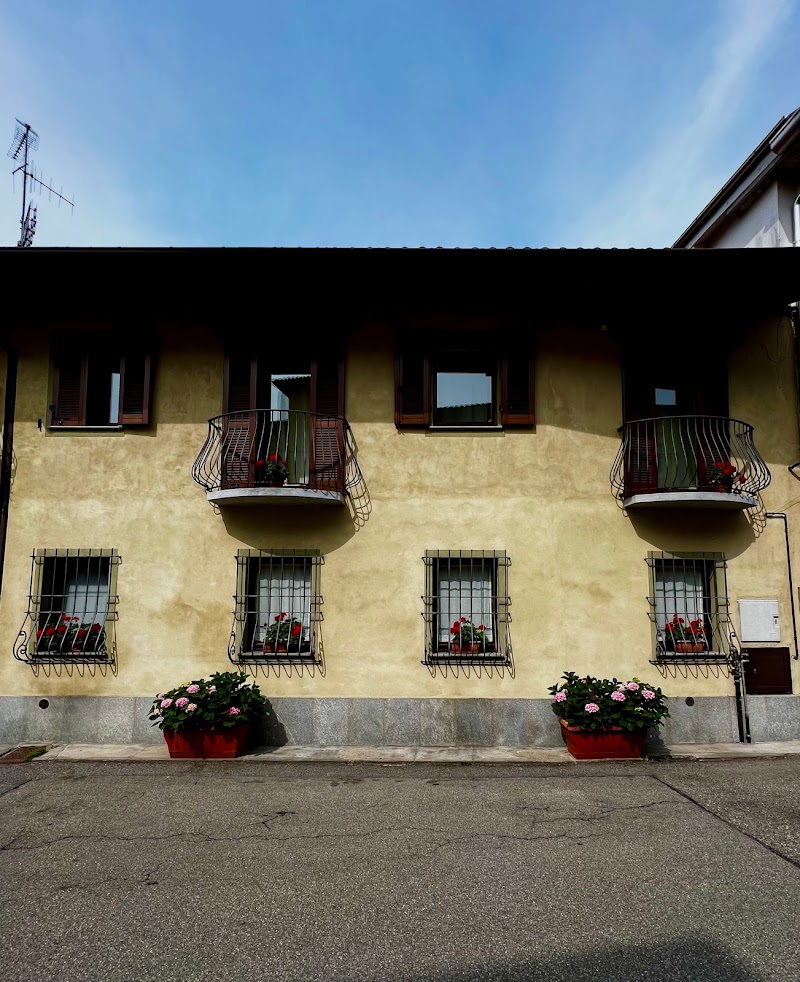 L'ulivo Selvatico