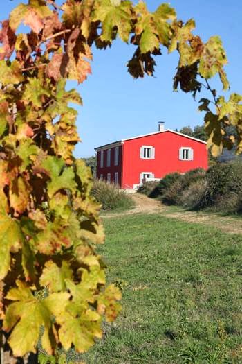 Agriturismo Campoletizia — Alloggio a Pescara, Pescara