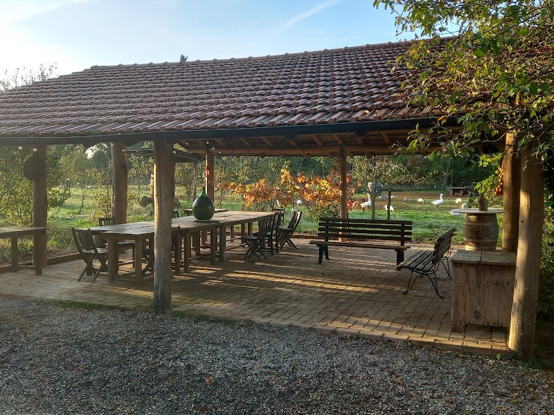 Cascina degli Ulivi — Alloggio a Novi Ligure, Alessandria