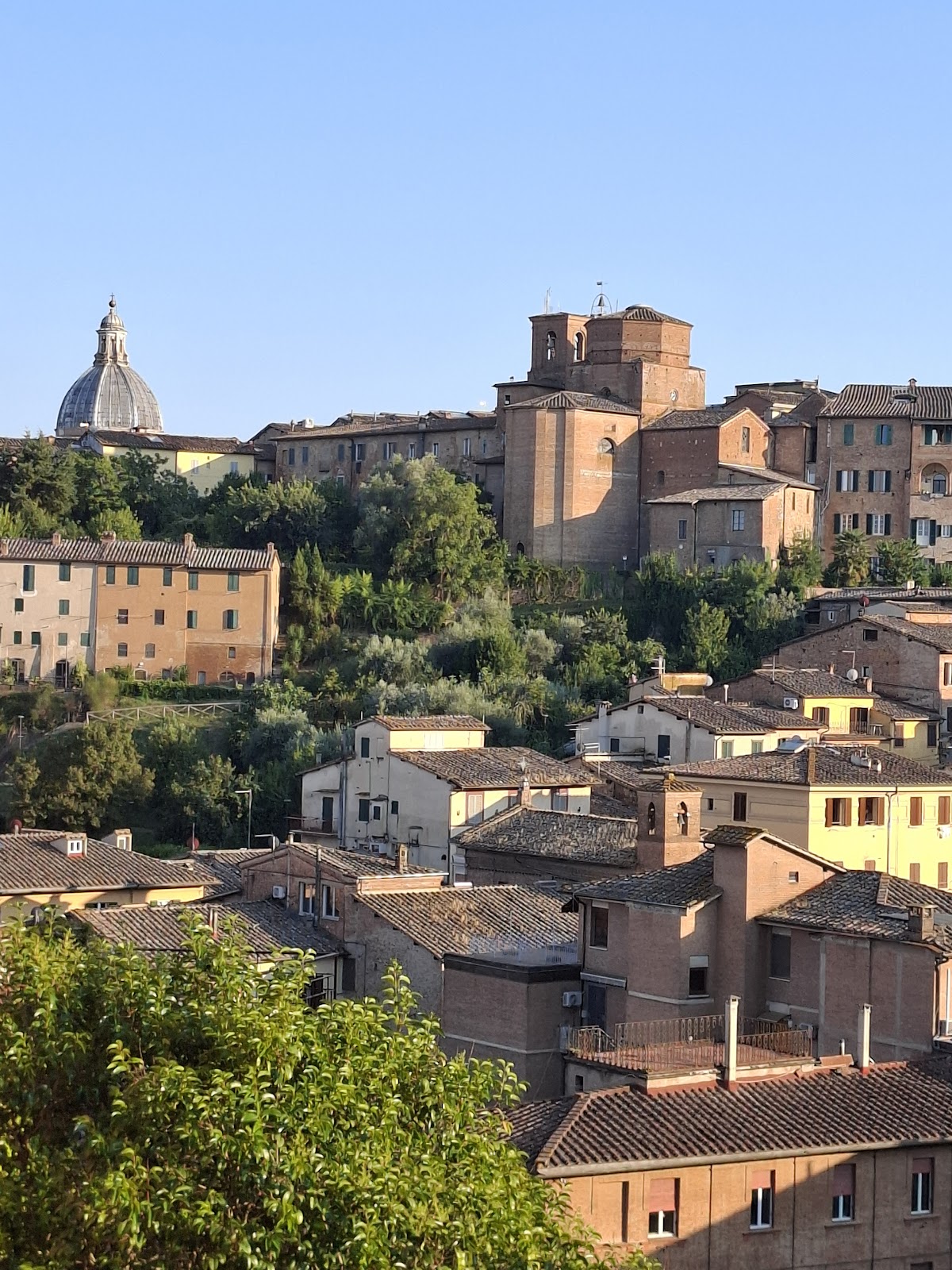 Le Lupe B&B Siena — Alloggio a Siena, Siena