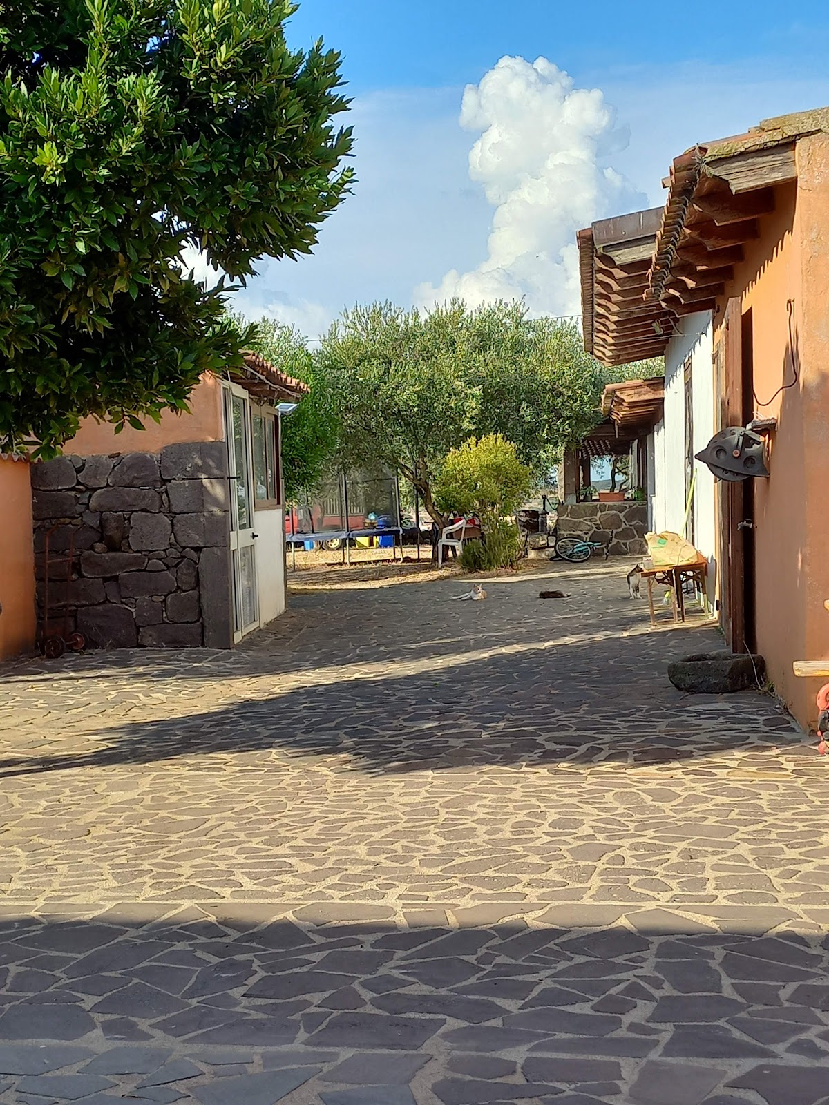 Agriturismo su Nuratolu — Alloggio a Bosa, Oristano