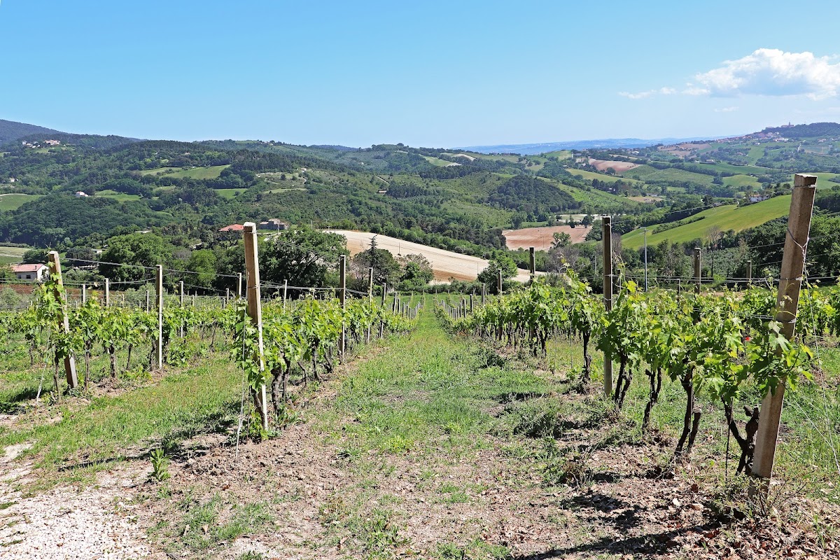 Fattoria Lucesole — Alloggio a Ancona, Ancona