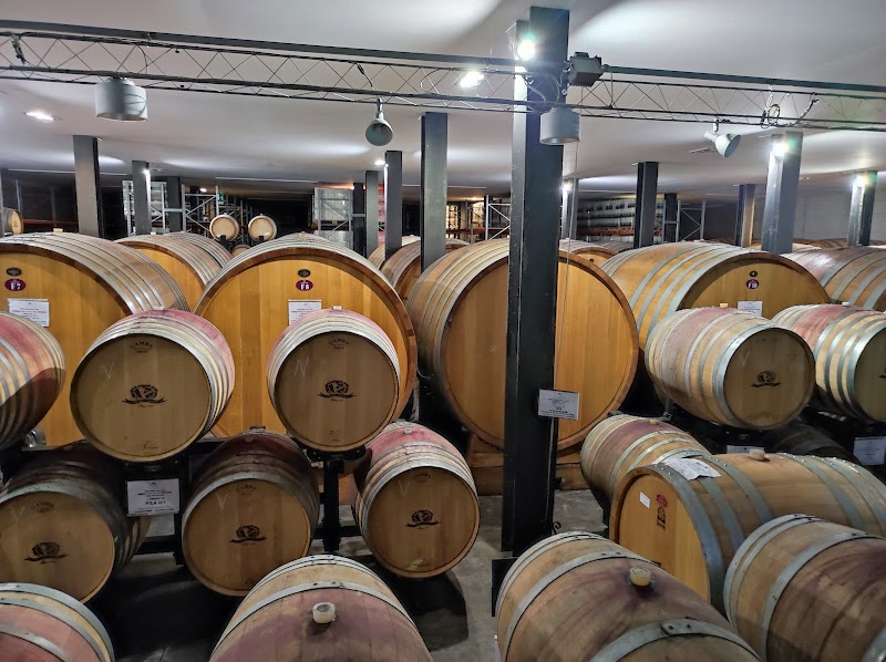 Viticoltori Associati di Vinchio - Vaglio Serra — Alloggio a Nizza Monferrato, Asti