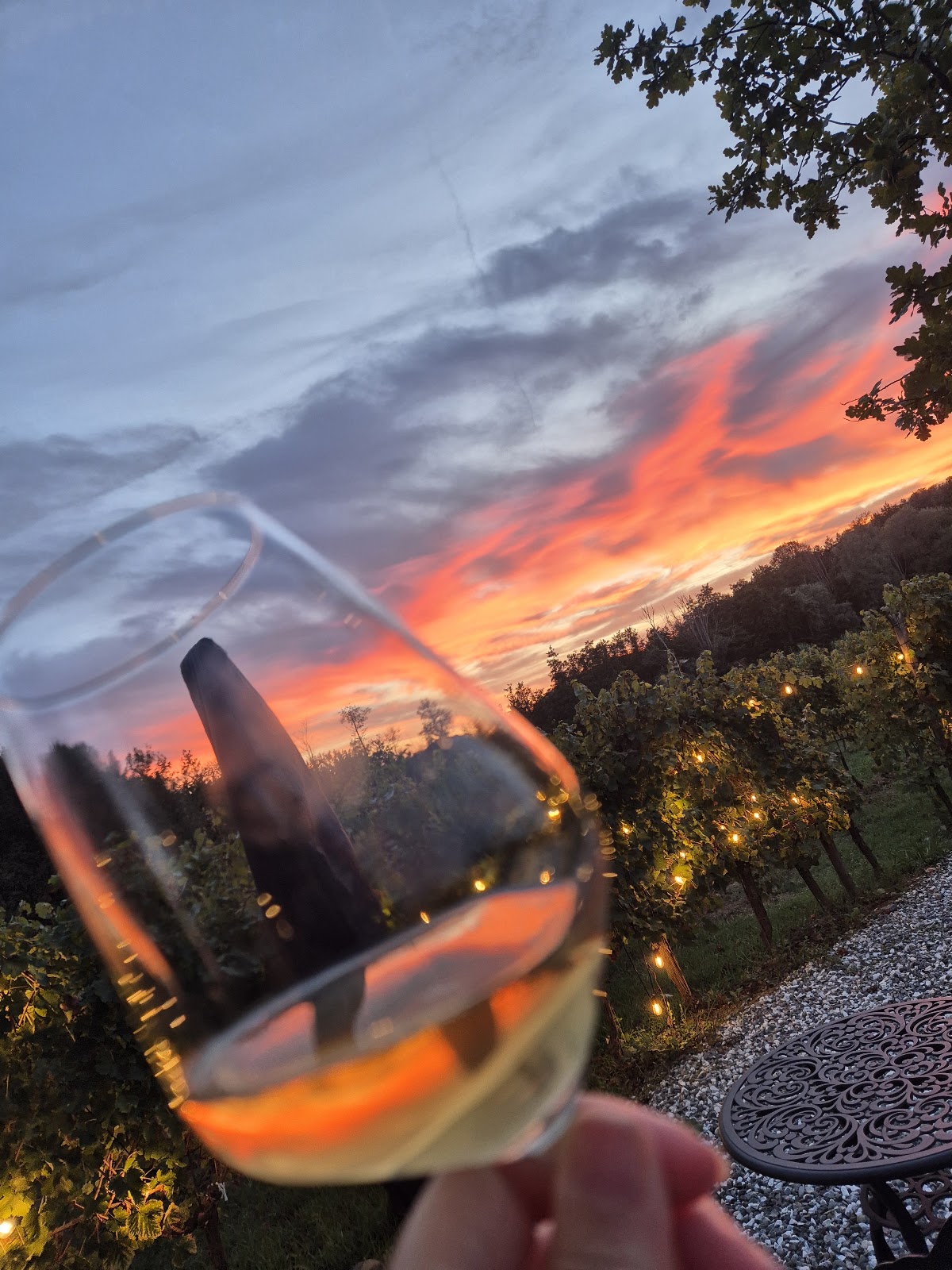 Fattoria Sardi — Alloggio a Lucca, Lucca
