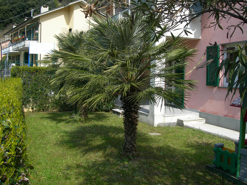 B&B Cinque Terre da Levanto — Alloggio a Cinque Terre, La Spezia
