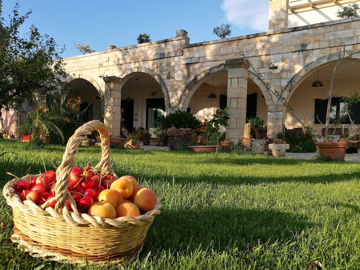 Agriturismo Masseria Asciano — Alloggio a Ostuni, Brindisi
