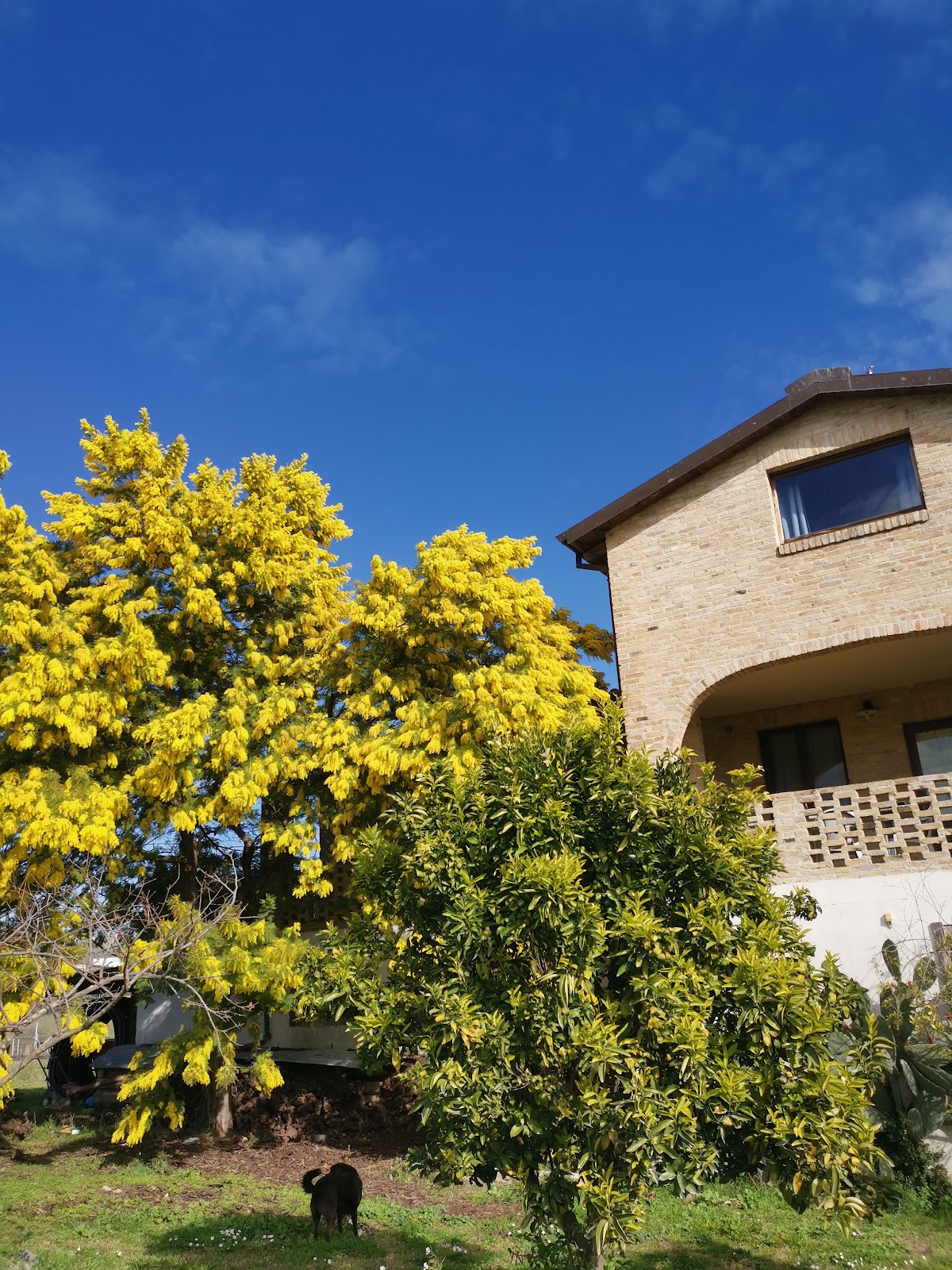 Agriturismo Torre Mannella — Alloggio a Pescara, Pescara